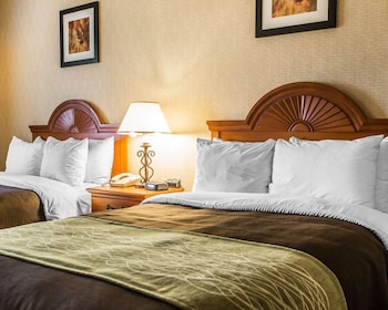 Standard Double Room, 2 Double Beds, Non Smoking