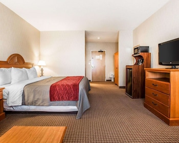 Standard Room, 1 King Bed