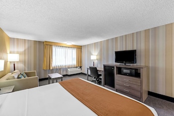 Standard Room, 1 King Bed, Accessible, Bathtub