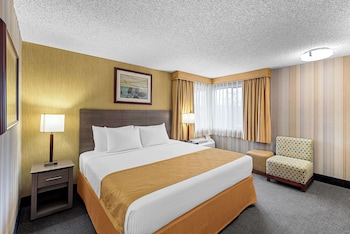 Standard Room, 1 King Bed, Non Smoking, Refrigerator & Microwave
