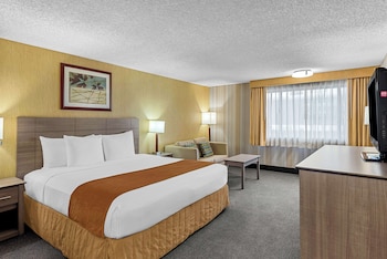 Standard Room, 1 King Bed, Accessible, Bathtub