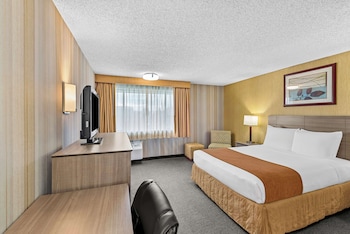 Standard Room, 1 Queen Bed, Accessible, Non Smoking