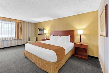 Suite, 1 King Bed, Non Smoking, Refrigerator & Microwave (Living Room)