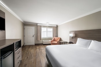 Standard Room, 1 King Bed, Accessible