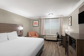Standard Room, 1 King Bed