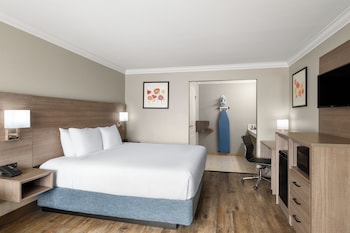 Standard Room, 1 King Bed, Accessible