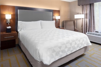 Suite, 1 King Bed, Non Smoking