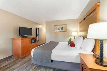 Standard Room, 1 King Bed, Accessible, Bathtub
