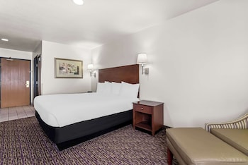 Standard Room, 1 King Bed, Non Smoking, Refrigerator & Microwave