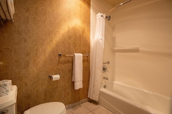 Deluxe Room, 1 King Bed, Non Smoking (Pet Friendly)