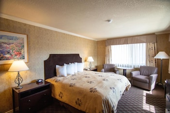 Deluxe Room, 1 King Bed, Non Smoking