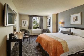 Suite, 1 King Bed, Non Smoking (Loft)