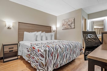Standard Room, 1 King Bed (Smoke Free)