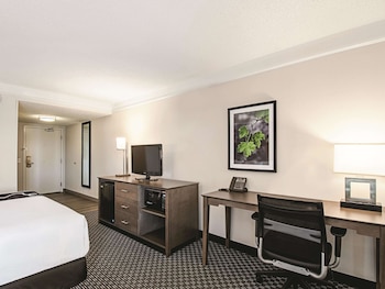 Room, 1 King Bed, Accessible, Non Smoking (Mobility Accessible)