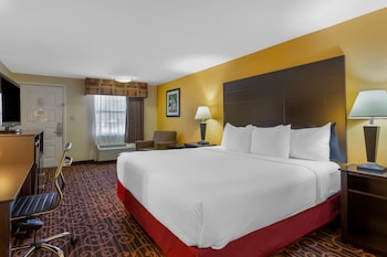 Standard Room, 1 King Bed, Non Smoking, Refrigerator & Microwave