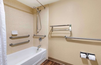 Deluxe Studio, 1 Double Bed with Sofa bed, Accessible, Non Smoking