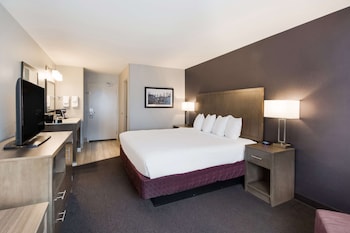 Standard Room, 1 King Bed, Accessible, Refrigerator & Microwave