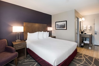 Standard Room, 1 Queen Bed, Non Smoking, Refrigerator & Microwave (Small Room)