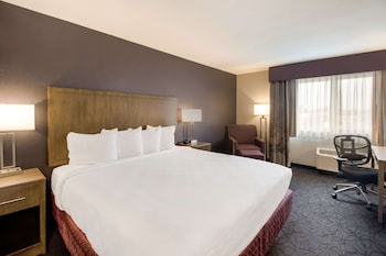 Standard Room, 1 King Bed, Accessible, Refrigerator & Microwave