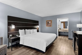 Standard Room, 1 King Bed, Non Smoking, Refrigerator & Microwave