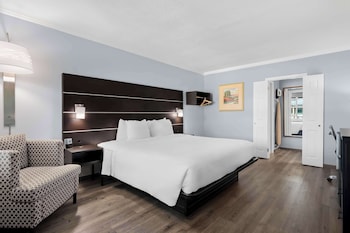 Standard Room, 1 Queen Bed, Accessible, Bathtub