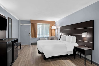Business Room, 1 Queen Bed, Non Smoking, Refrigerator & Microwave