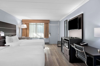 Standard Room, 2 Double Beds, Non Smoking, Refrigerator & Microwave (Pet Friendly)