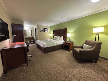 Room, 1 King Bed, Non Smoking