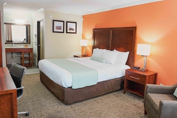 Superior Room, 1 King Bed, Non Smoking