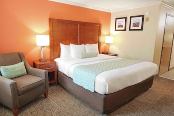 Standard Room, 1 King Bed, Accessible