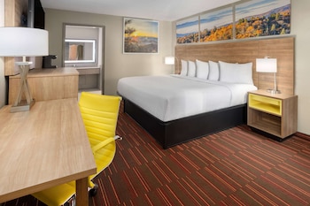 Room, 1 King Bed, Accessible