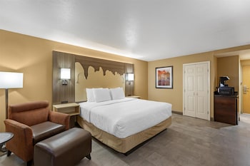 Standard Room, 1 King Bed, Accessible, Non Smoking