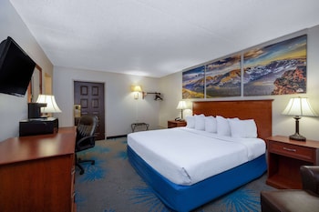 Room, 1 Queen Bed, Non Smoking