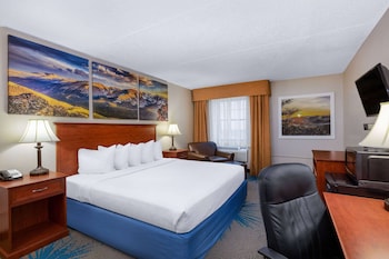 Room, 1 Queen Bed, Non Smoking (Pet Friendly)
