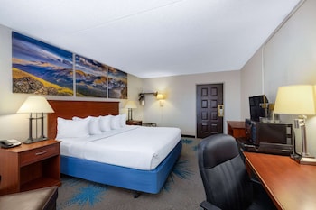 Room, 1 Queen Bed, Non Smoking (Pet Friendly)