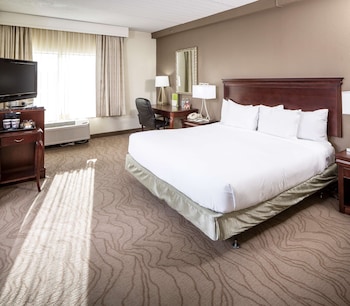 Room, 1 King Bed with Sofa bed (Larger Room)