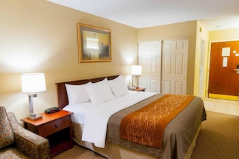 Standard Room, 1 King Bed, Non Smoking