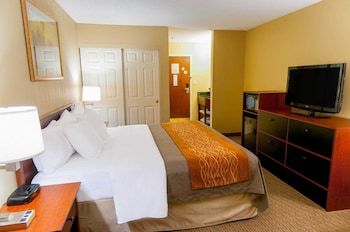 Standard Room, 1 King Bed, Non Smoking