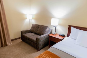 Standard Room, 1 King Bed, Non Smoking