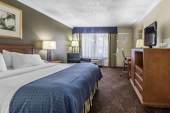Standard Room, 1 King Bed, Non Smoking