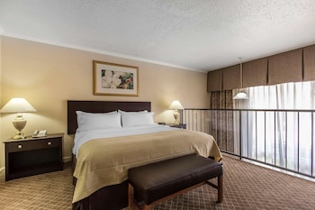 Suite, 1 King Bed, Non Smoking