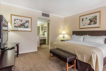 Suite, 1 King Bed, Non Smoking