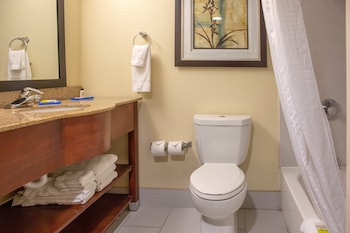 Standard Room, 1 Queen Bed, Accessible (Comm Access, Tub)