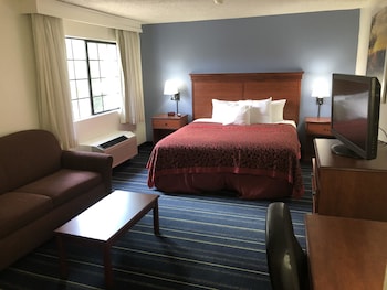 Room, 1 King Bed, Non Smoking