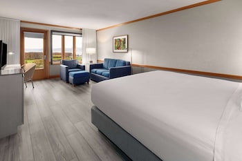Room, 1 King Bed, Non Smoking, Patio (Water View)