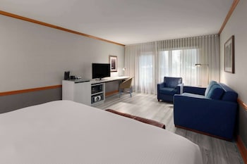 Room, 1 King Bed, Non Smoking, Patio