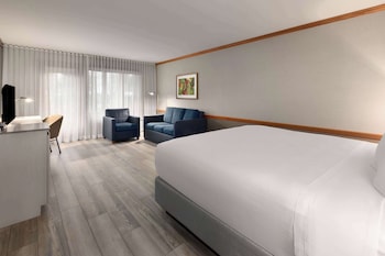 Room, 1 King Bed, Non Smoking, Patio