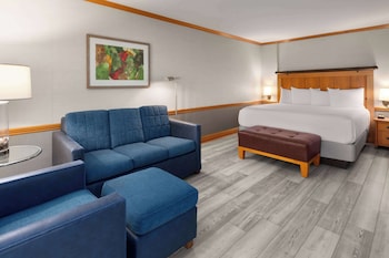 Room, 1 King Bed, Non Smoking, Patio (Water View)