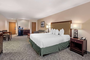 Standard Room, 1 King Bed, Non Smoking, Refrigerator & Microwave (with Sofabed)
