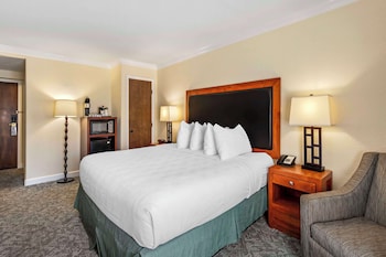 Standard Room, 1 King Bed, Non Smoking, Refrigerator & Microwave